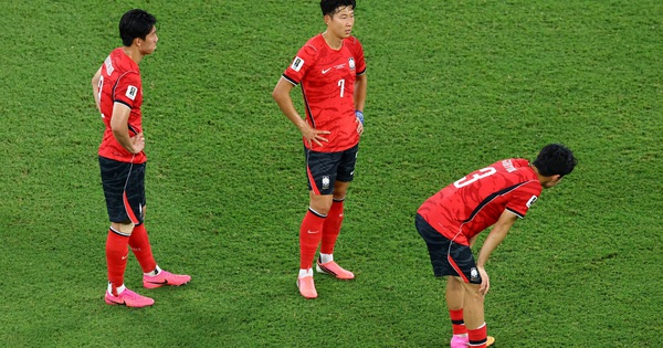 Nhà cái không chặn và góc nhìn từ thất bại của Hàn Quốc tại World Cup - hình ảnh - betokfun.com