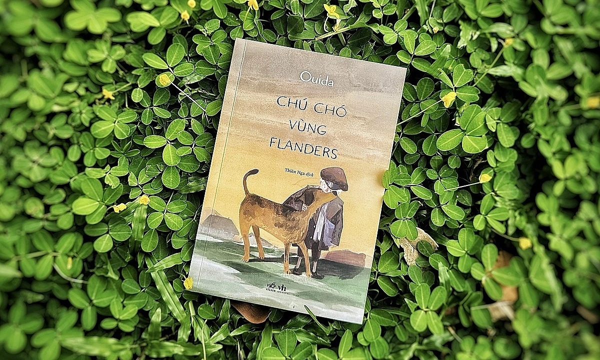 OKFUN cược bóng đá