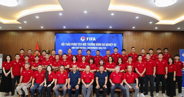 OKFUN cược bóng đá: FIFA định hướng phát triển bóng đá phong trào tại Việt Nam - hình ảnh - betokfun.com